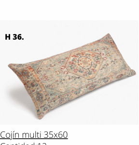 Cojín multi 35x60
