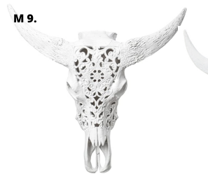 Cabeza de búfalo