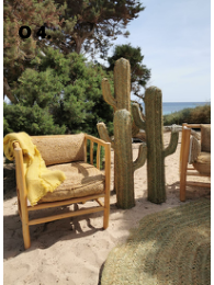 Conjunto Euphorbia mimbre